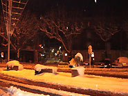 Voir les photos